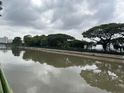 Blk 9 Di Tanjong Rhu (Kallang/Whampoa), HDB 2 Rooms #591846121